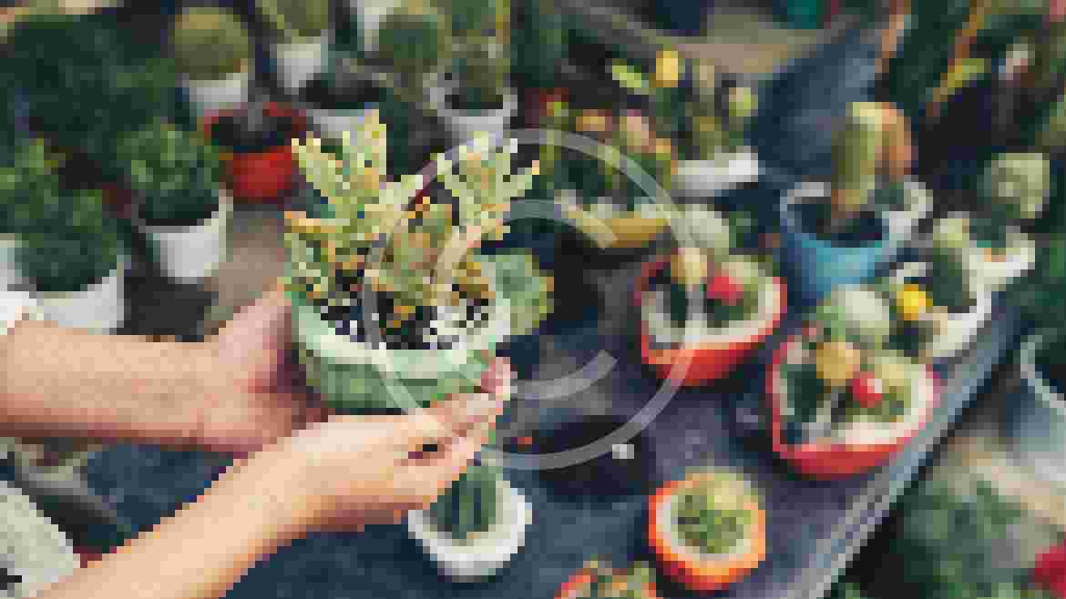 Living Walls