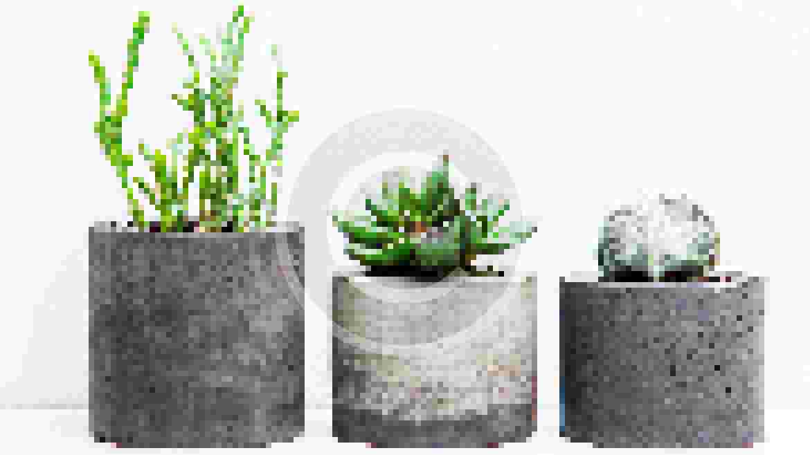 Interior Design Consultation