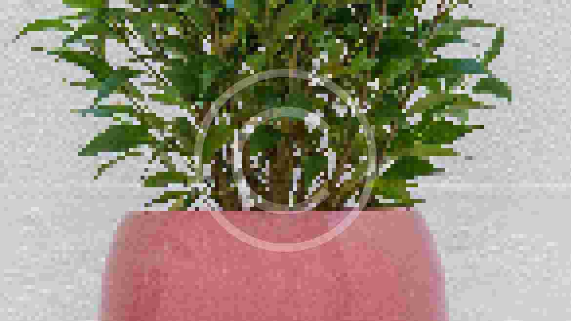 Air-Purifying Plants