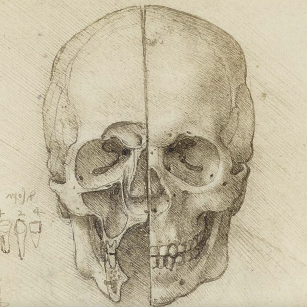 Het cranium | Een structurele visie